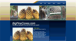 Desktop Screenshot of bigpinecones.com