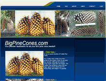 Tablet Screenshot of bigpinecones.com